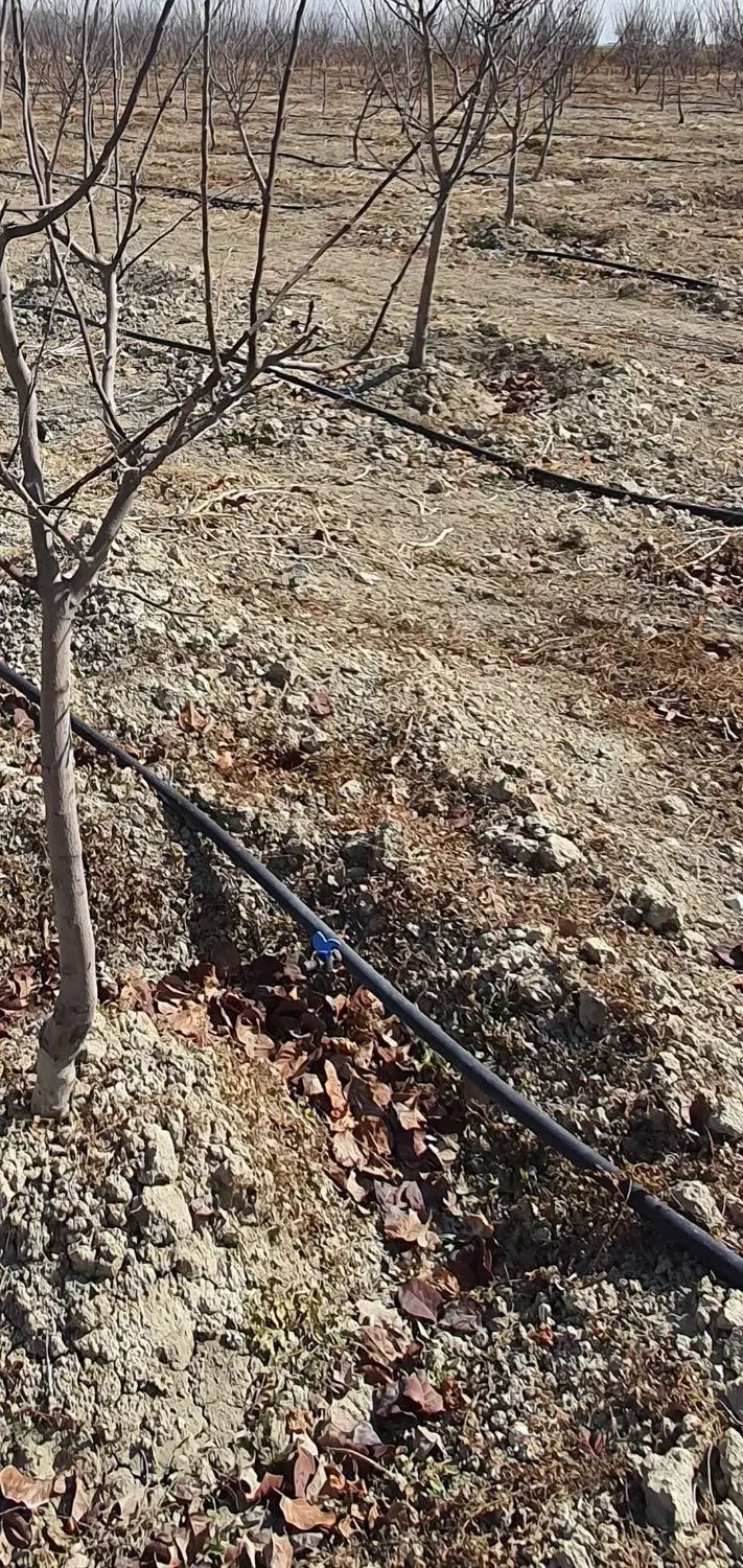 فروش لوله قطره ای یک اینج اندازه یک هکتار باغ|خدمات باغبانی و درختکاری|درودزن, |دیوار