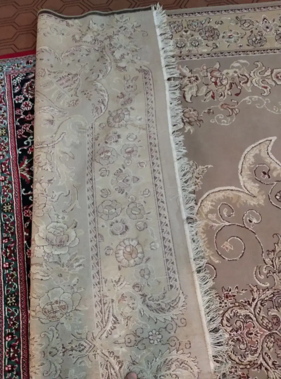 فروش فوری فرش ۱۲متری|فرش|پیر بکران, |دیوار
