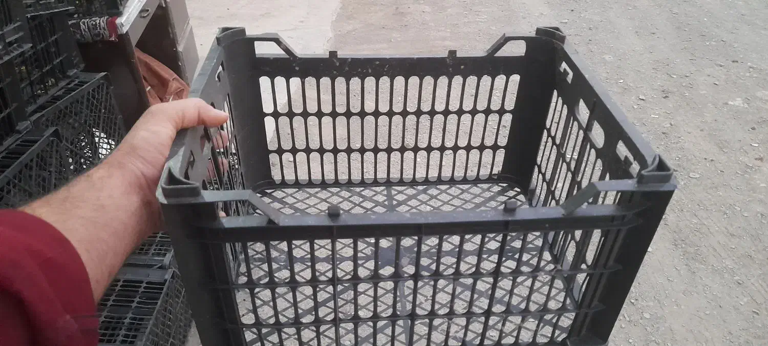 سبد میوه۱۴کیلویی|ظروف نگهدارنده، پلاستیکی، یکبارمصرف|مشهد, اروند (کشف)|دیوار