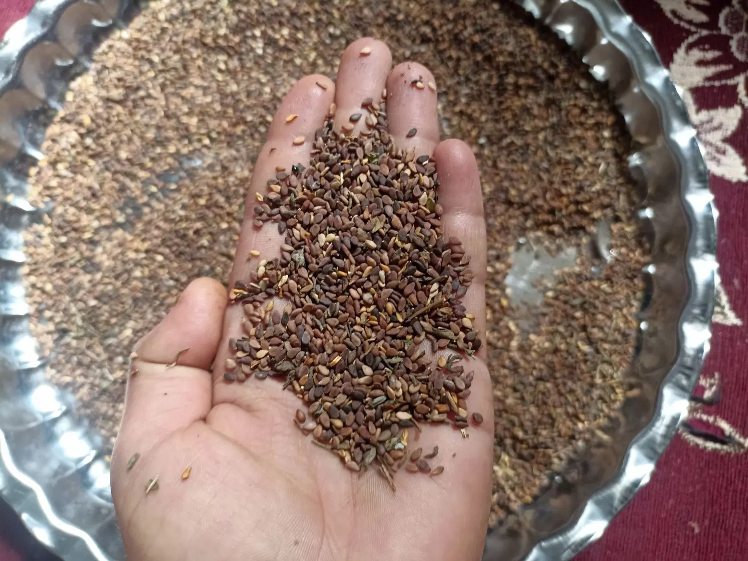 کنجد|عمده‌فروشی|جره و بالاده, |دیوار
