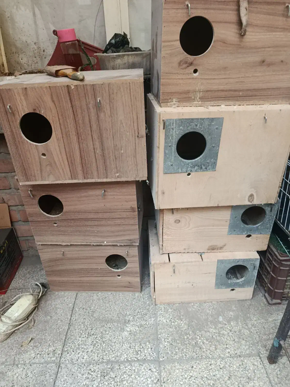 لونه عروس هلندی وگرینچیک|لوازم جانبی حیوانات|تهران, کیانشهر|دیوار