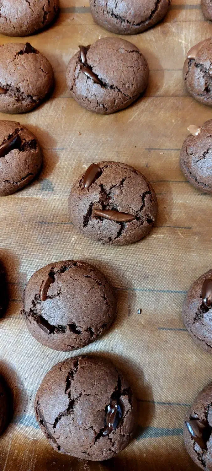 کوکی|خوردنی و آشامیدنی|مشهد, رسالت|دیوار