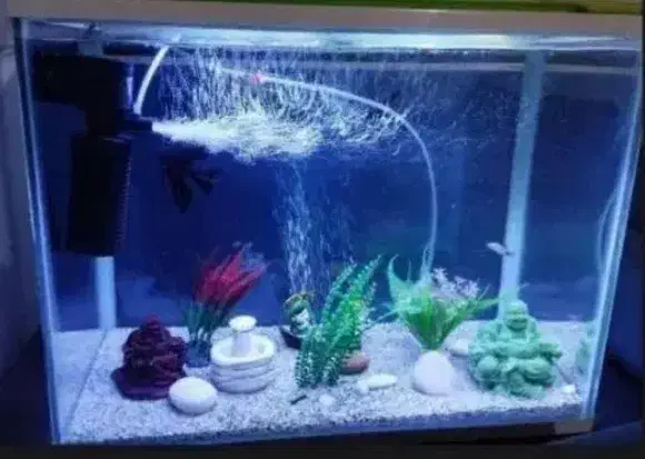 وسیله منزل|آب‌سردکن و تصفیه آب|زرند, |دیوار