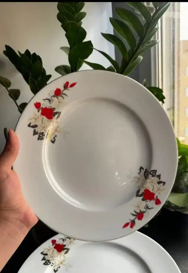 چینی زرین|ظروف سرو و پذیرایی|بوشهر, |دیوار