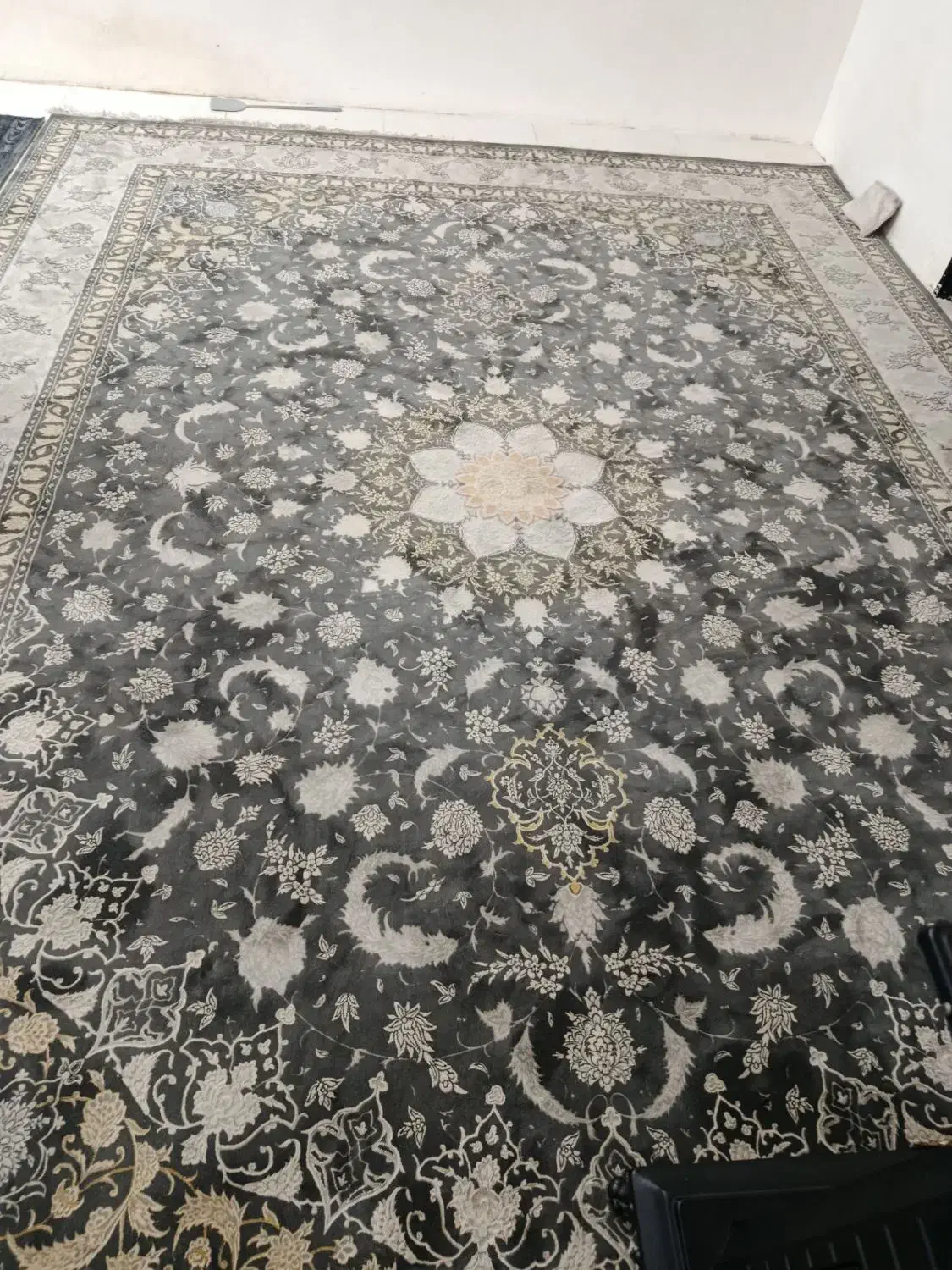 یک‌عددفرش‌‌۱۲متری‌سالم‌|فرش|مشهد, حضرت حجت|دیوار