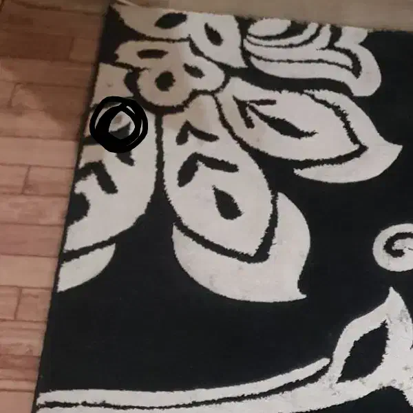 گلیم فرش ۴متری   سفید مشکی زدگی داره مناسب باغ|گلیم، جاجیم، گبه|همدان, |دیوار