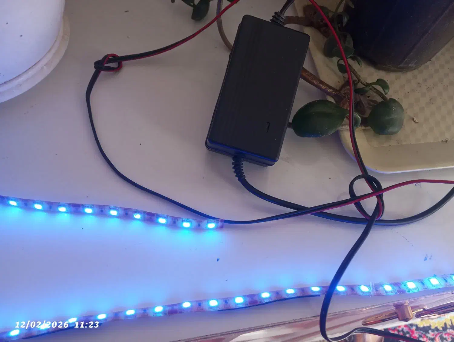 چراغ ال ای دی|ریسه و چراغ تزئینی|چناران, |دیوار