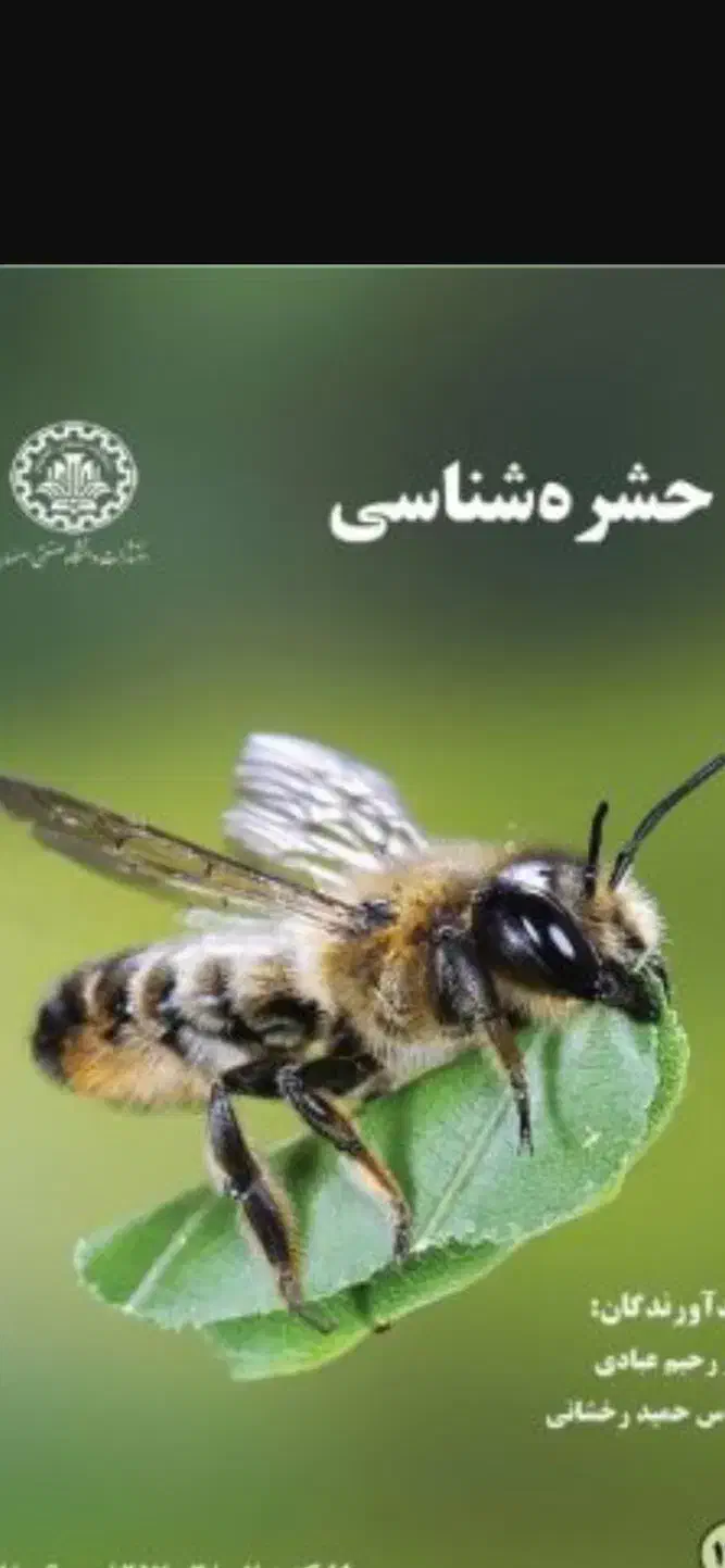 استخدام کارشناس بهداشت محیط یا حشره شناسی|استخدام صنعتی، فنی، مهندسی|کرج, فاز ۳ گوهردشت|دیوار