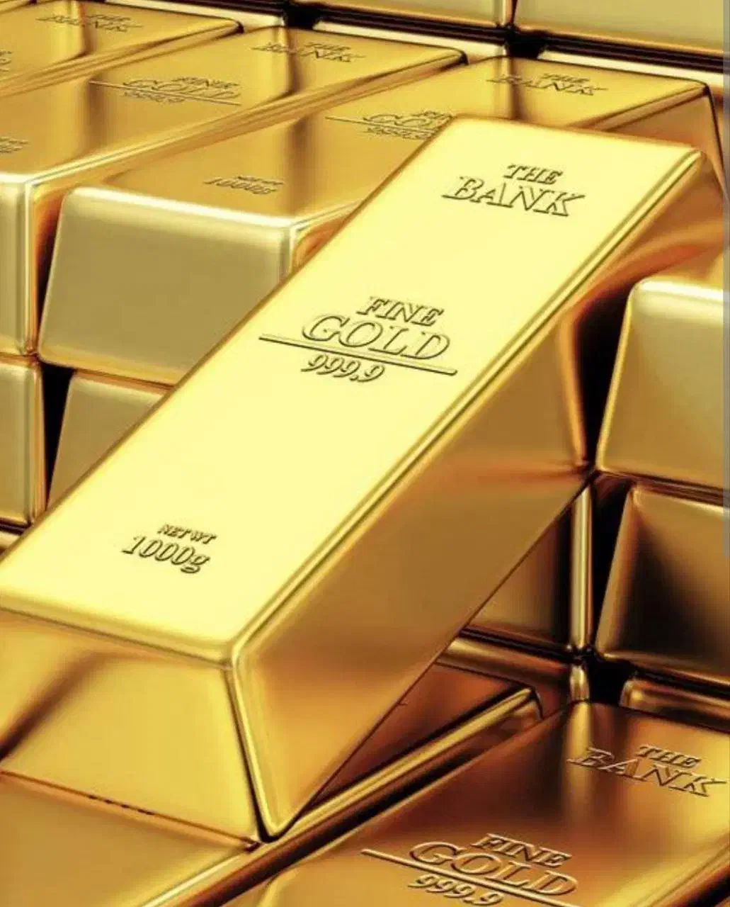 آموزش بازارهای مالی و ارزدیجیتال|خدمات آموزشی|رشت, نامجو|دیوار