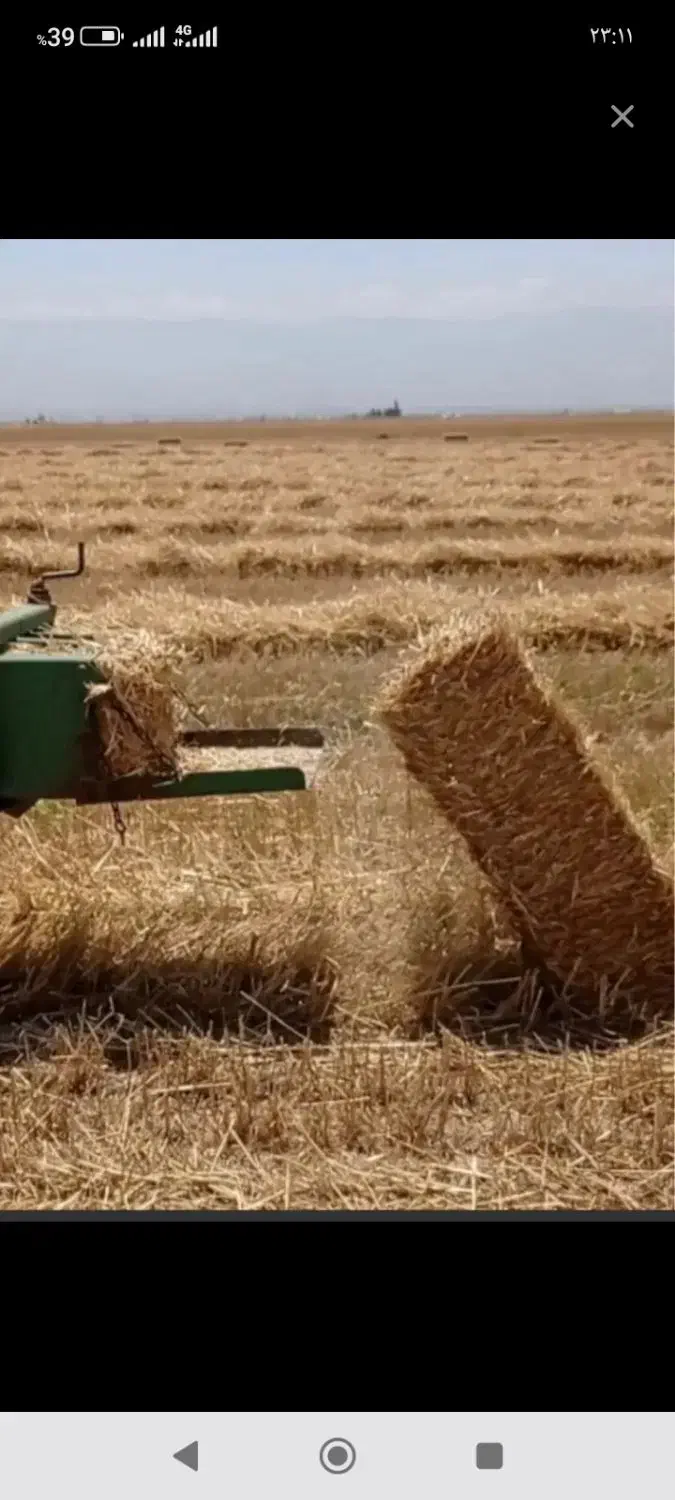 پرس گندم|لوازم جانبی حیوانات|گلپایگان, |دیوار