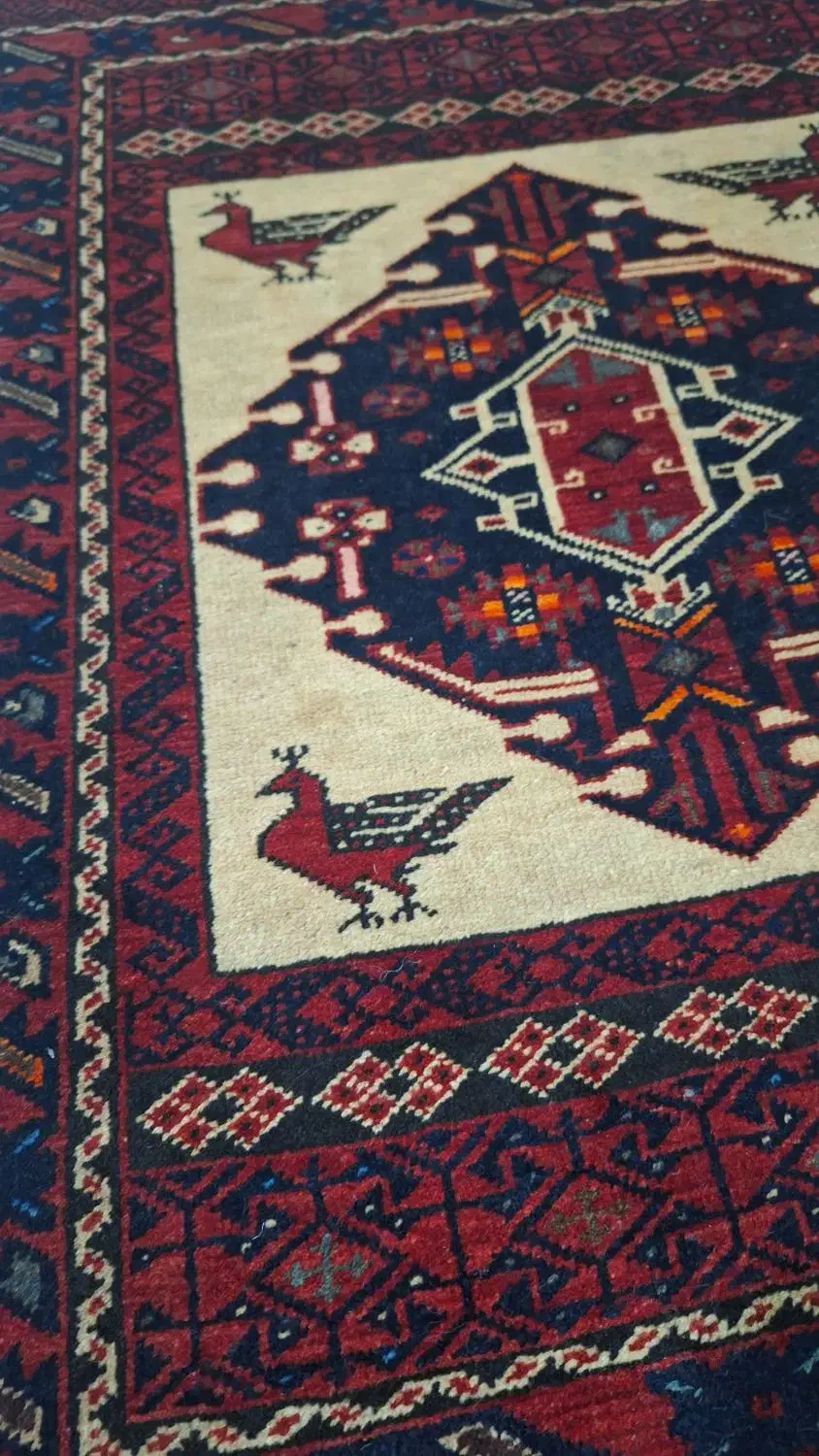 مرغی اعلا|فرش|تهران, پامنار|دیوار