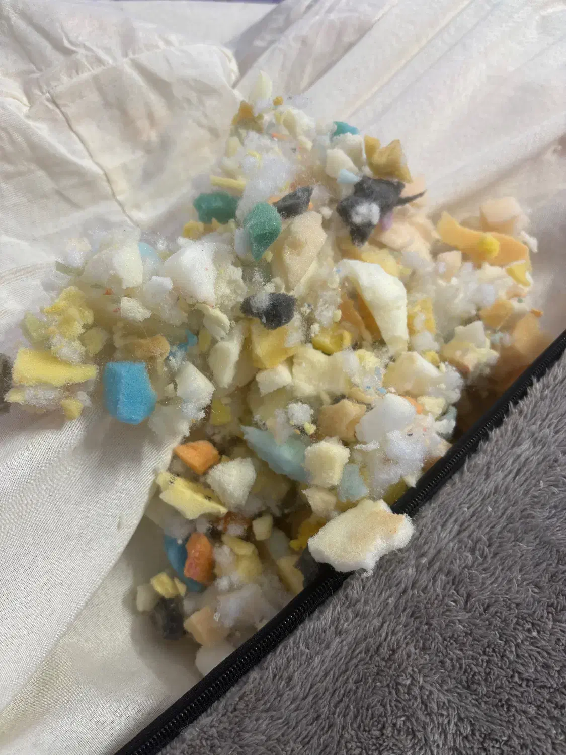 الیاف|رختخواب، بالش، پتو|بوشهر, |دیوار