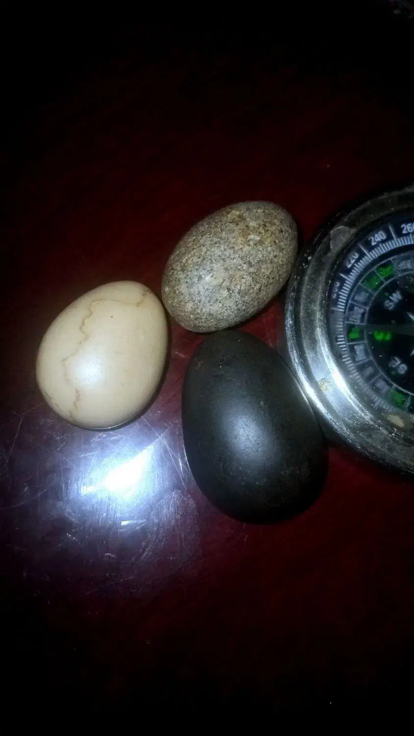 ۳تاسنگ باارزش|جواهرات|تبریز, |دیوار