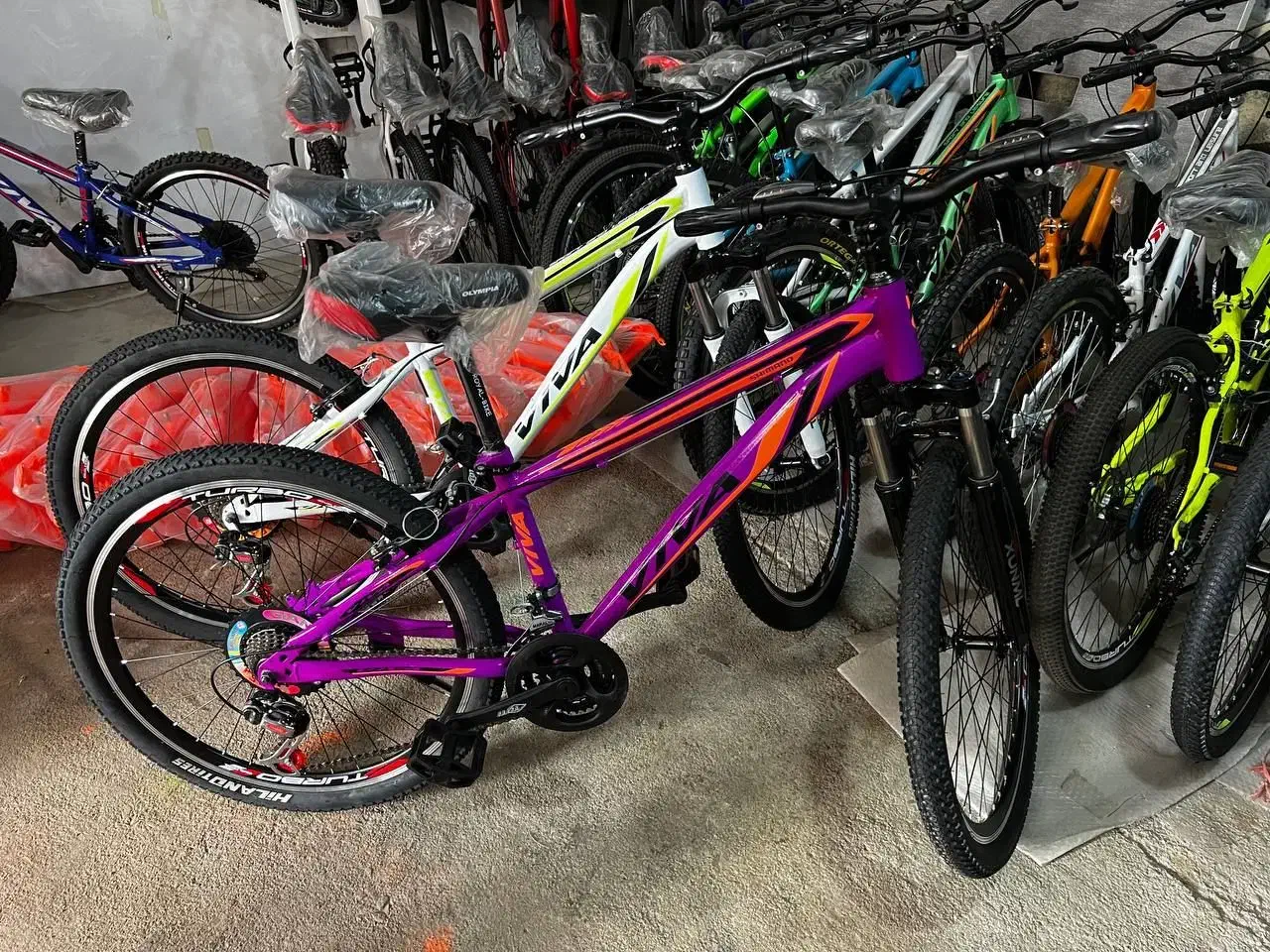 تک با قیمت عمده ٪& دوچرخه محکم و مقاوم //|دوچرخه، اسکیت، اسکوتر|مشکیندشت, |دیوار