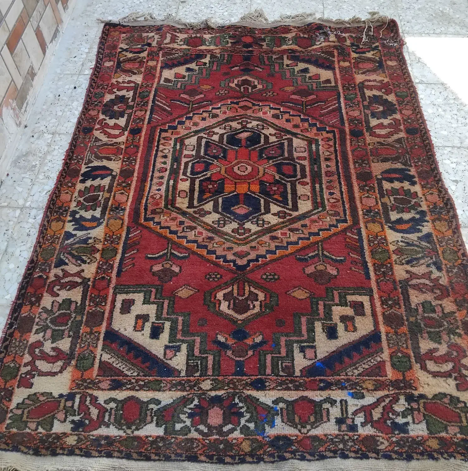 قالی دستباف محلی بختیاری|فرش|مسجد سلیمان, |دیوار