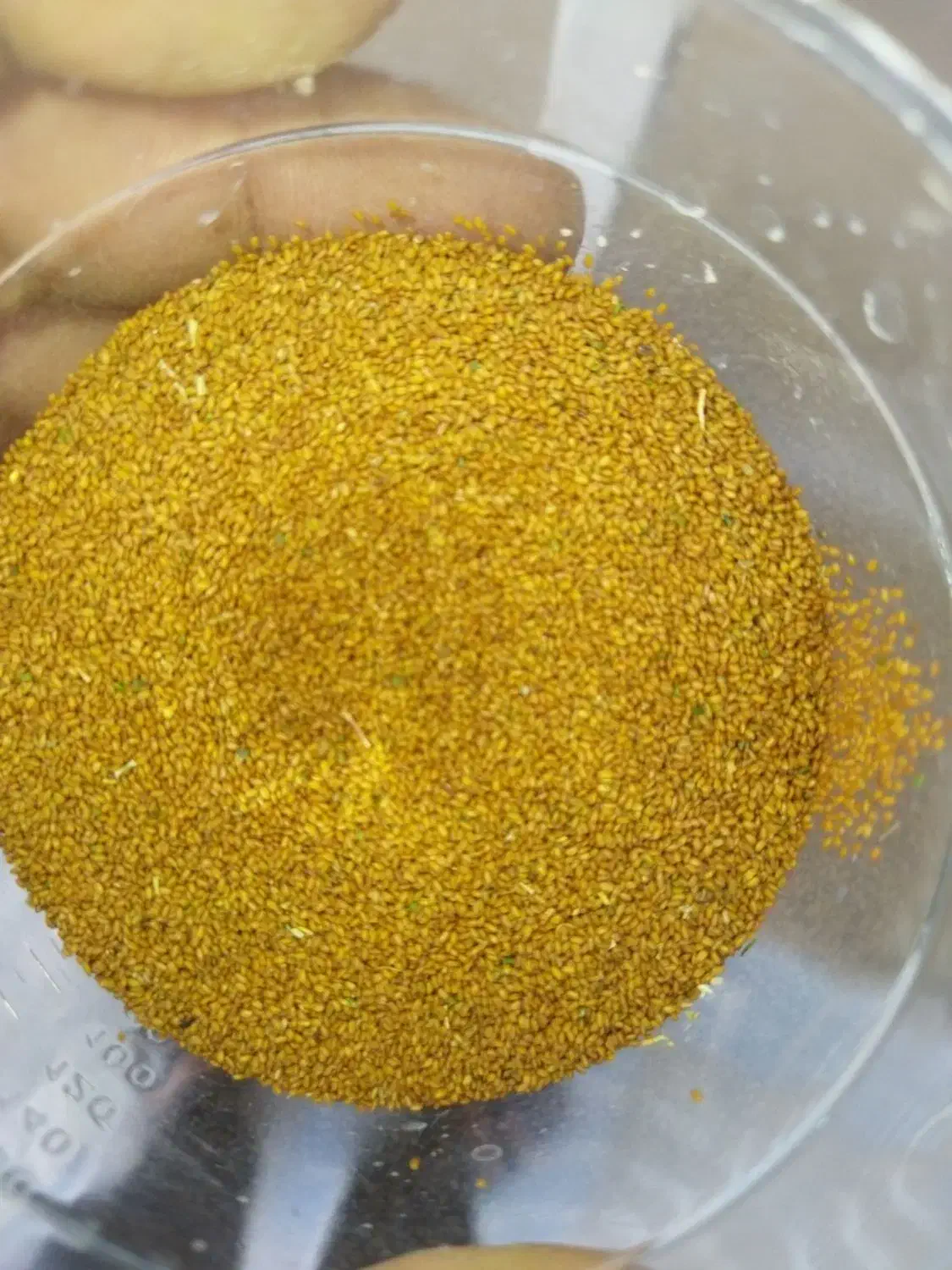 کاشت و بذرپاشی خاکشیر و گیاهان دارویی|خدمات باغبانی و درختکاری|مرودشت, استادیوم|دیوار