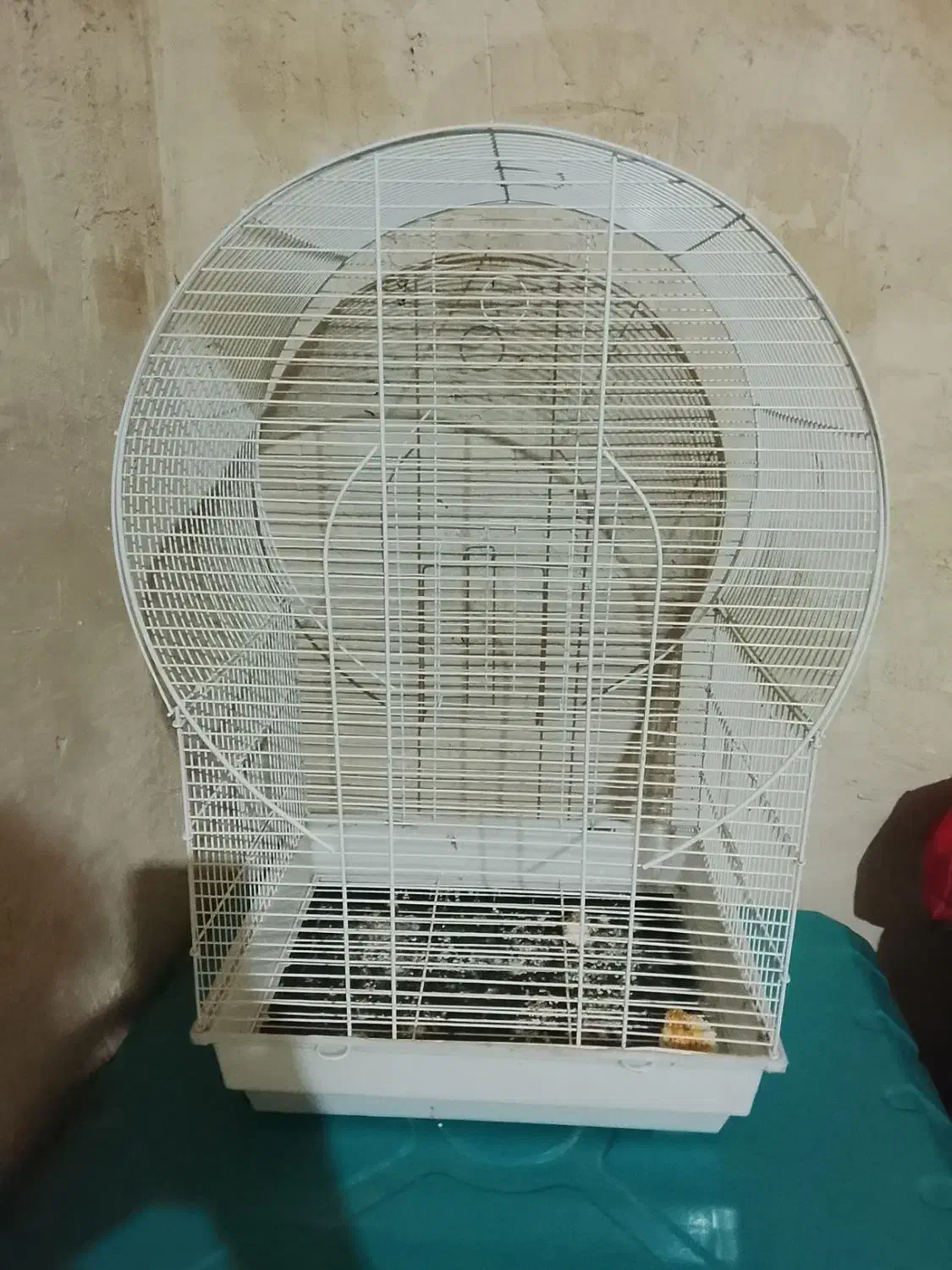 قفس بزرگ برایه عروس و|لوازم جانبی حیوانات|آبدانان, |دیوار