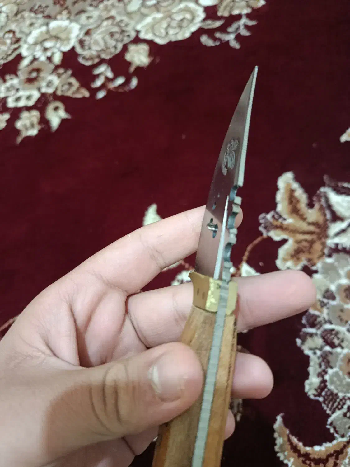 چاقو|ظروف پخت‌وپز|اندیمشک, |دیوار