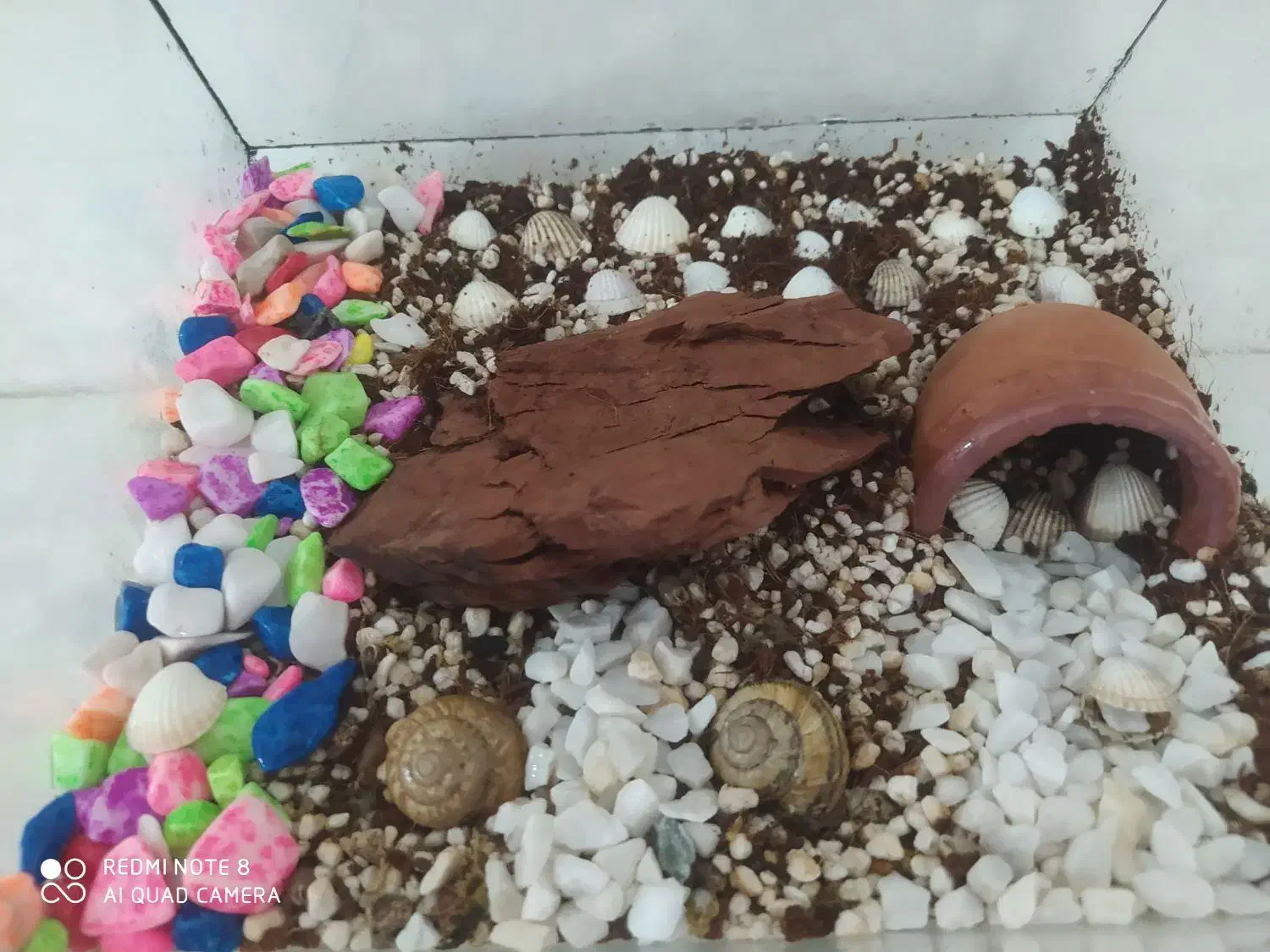 فروش تراریوم زیبا|صنایع دستی و سایر لوازم تزئینی|خرمدره, |دیوار