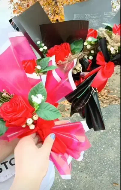 رز ربانی|گل مصنوعی|اشنویه, |دیوار