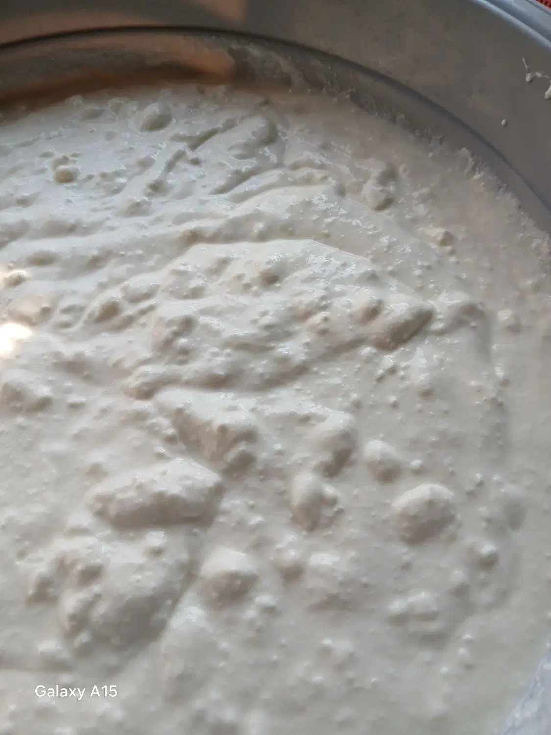 ماست چکیده|خوردنی و آشامیدنی|سیمین شهر, |دیوار