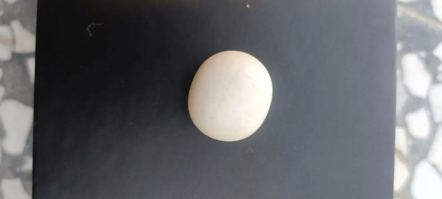 سنگ آسیاب الماس لوسندایت اصل|جواهرات|تهران, یافت‌آباد|دیوار