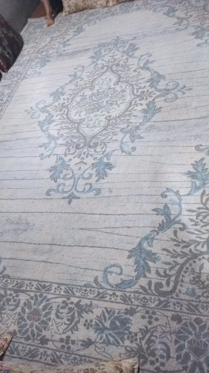 فرش|فرش|میناب, |دیوار