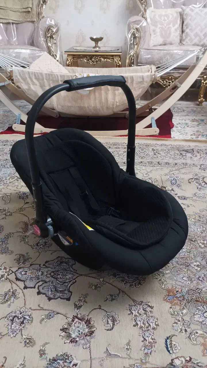 کریر دلیجان|کالسکه و لوازم جانبی|فردیس, نگارستان|دیوار