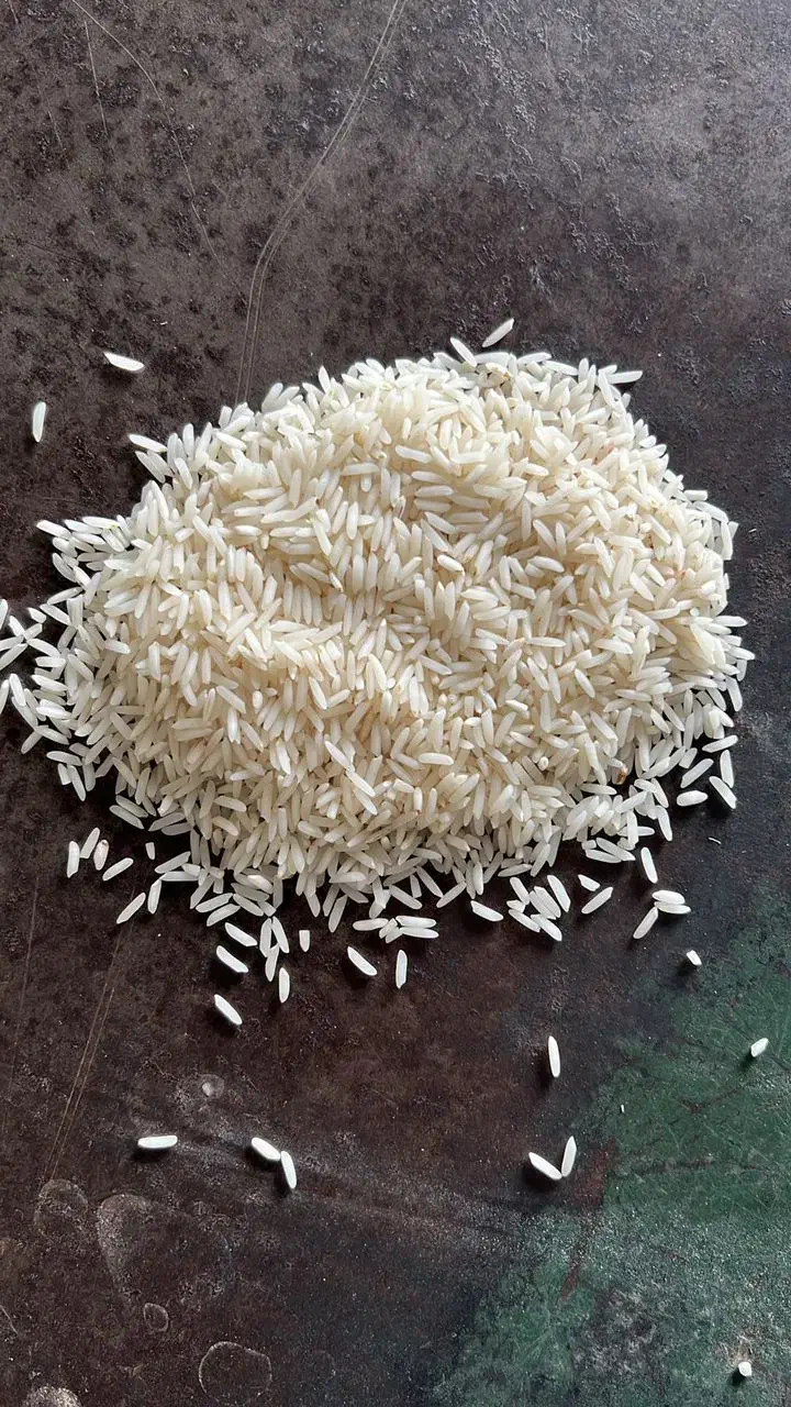 برنج شیرودی سوپر لوکس|خوردنی و آشامیدنی|بهشهر, |دیوار