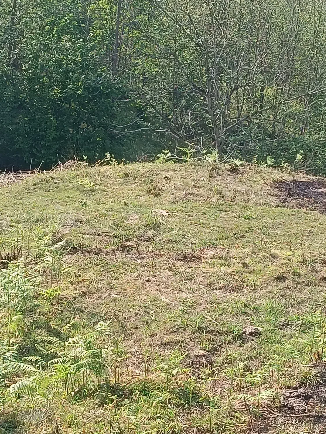 4617متر 500متر مسکونی|فروش زمین و ملک کلنگی|لاهیجان, آهندان|دیوار