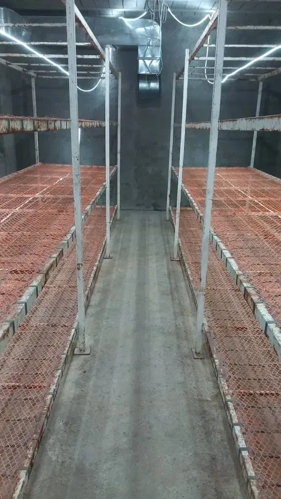 فروش وسایل سالن قارچ وگلخانه|ماشین‌آلات صنعتی|جهرم, |دیوار