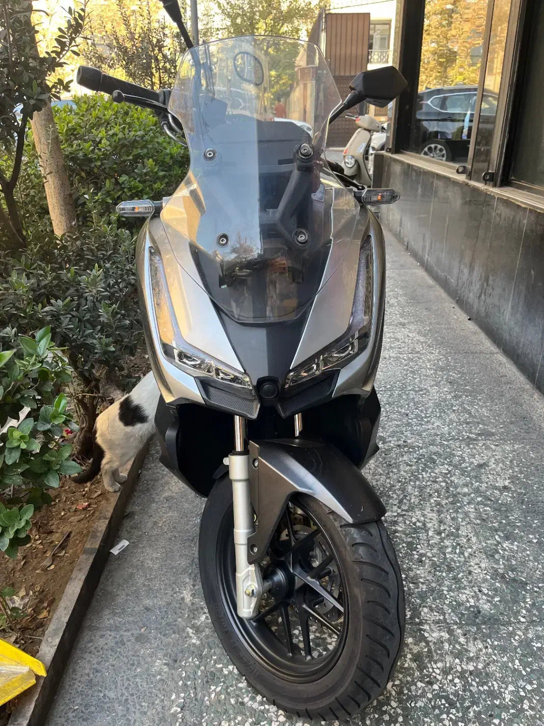 موتور adv ۱۵۰ همتاز|موتورسیکلت|تهران, میرداماد|دیوار