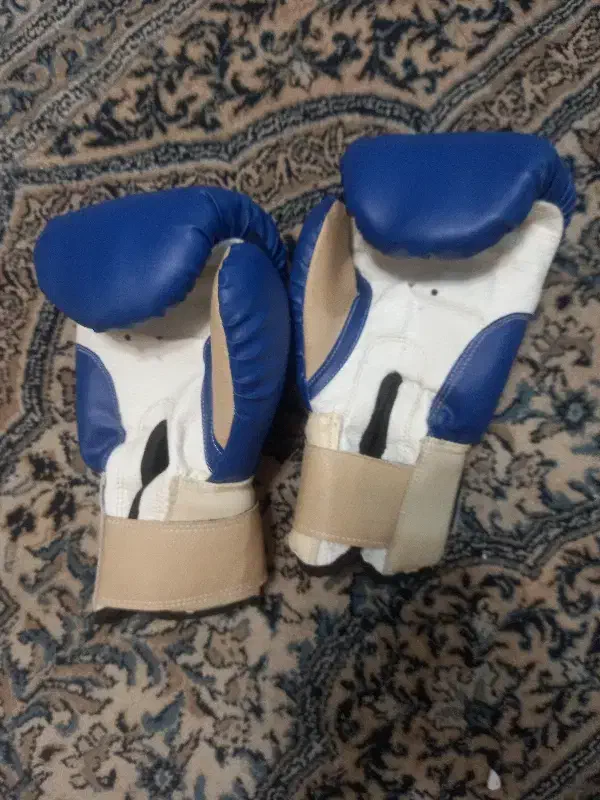 دستکش بوکس|تجهیزات ورزشی|رشت, رشتیان|دیوار