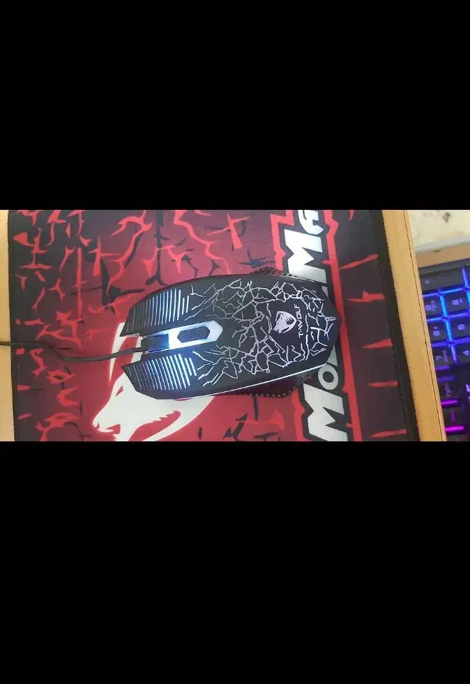 ست گیمینگ کیبورد و موس|قطعات و لوازم جانبی رایانه|گلستان (تهران), |دیوار