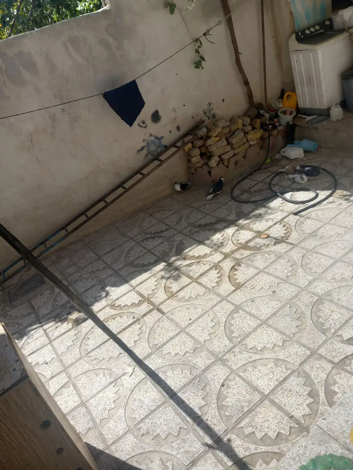 یکبابخونهایویلایترتمیز|فروش خانه و ویلا|محمدیه-قزوین, |دیوار