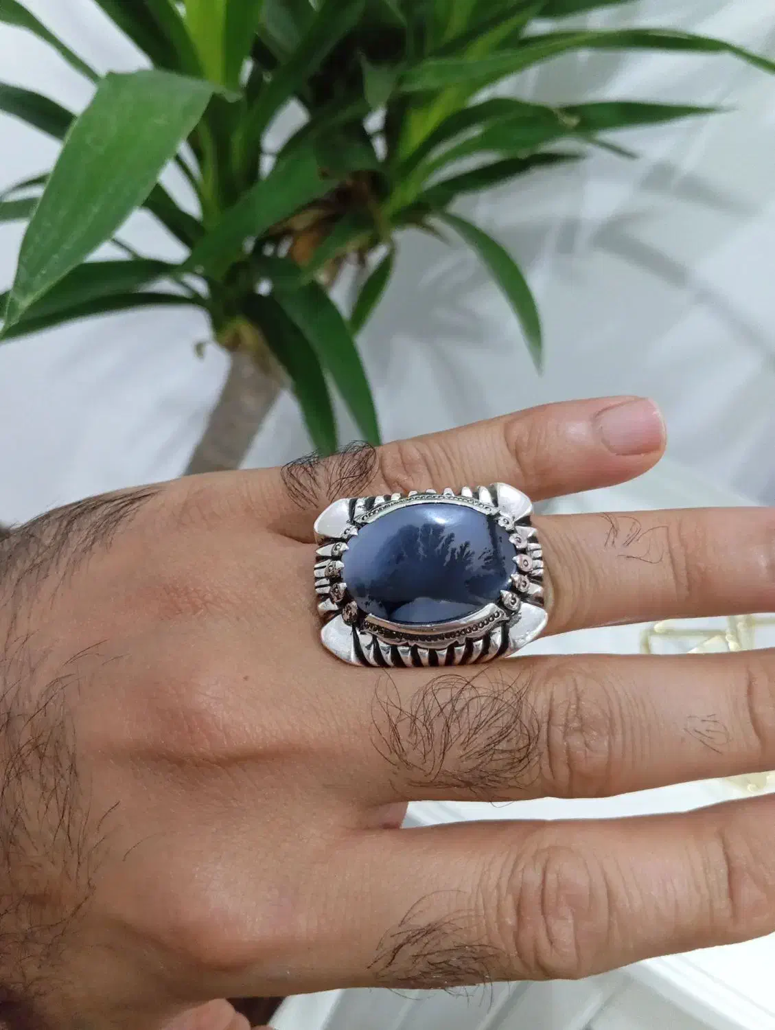 انشگتر شجر|بدلیجات|دیواندره, |دیوار