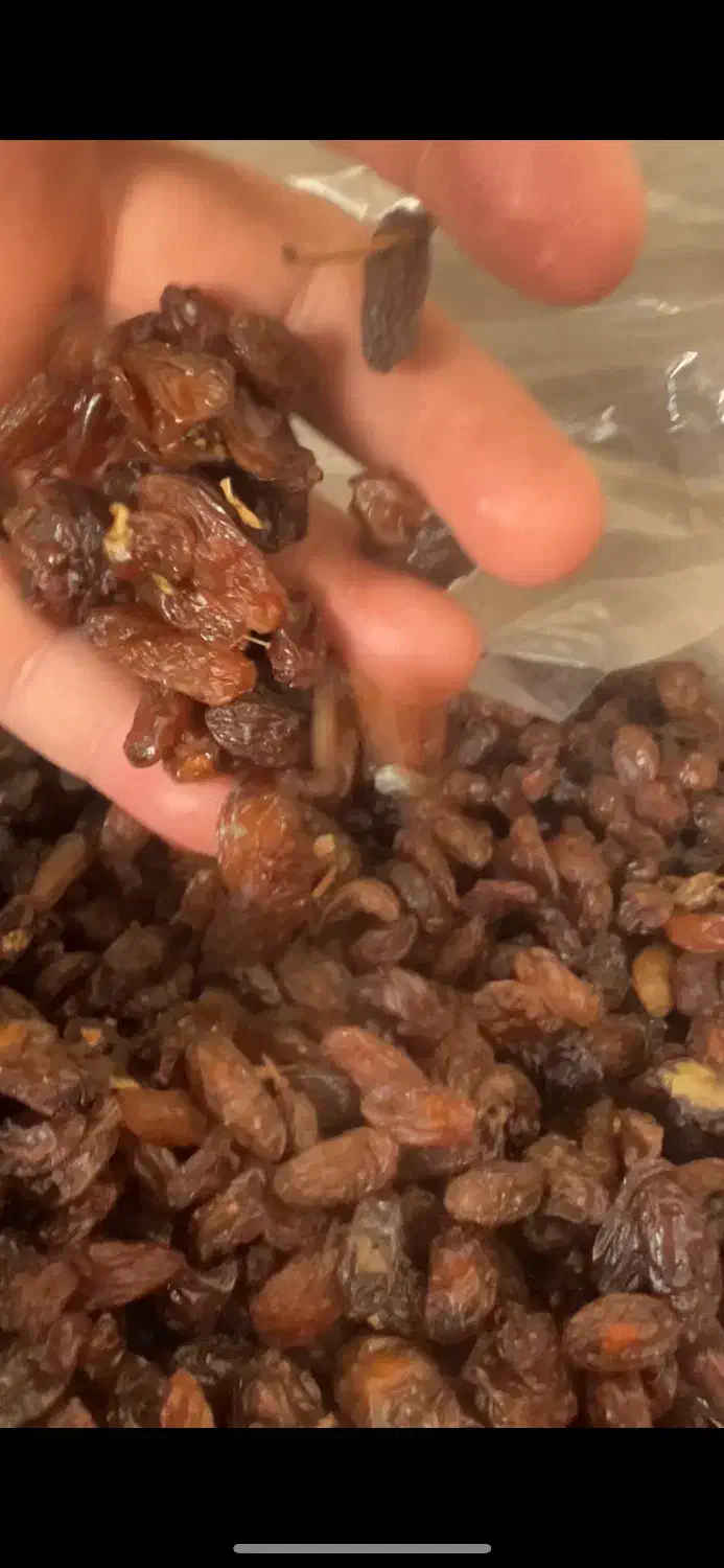 کشمش افتابی|خوردنی و آشامیدنی|ری, شهرک نظامی|دیوار