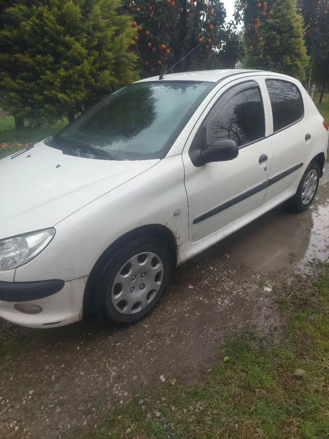 ۲۰۶ تیپ مدل ۹۷ سالم و تمیز|خودرو سواری و وانت|کلارآباد, |دیوار