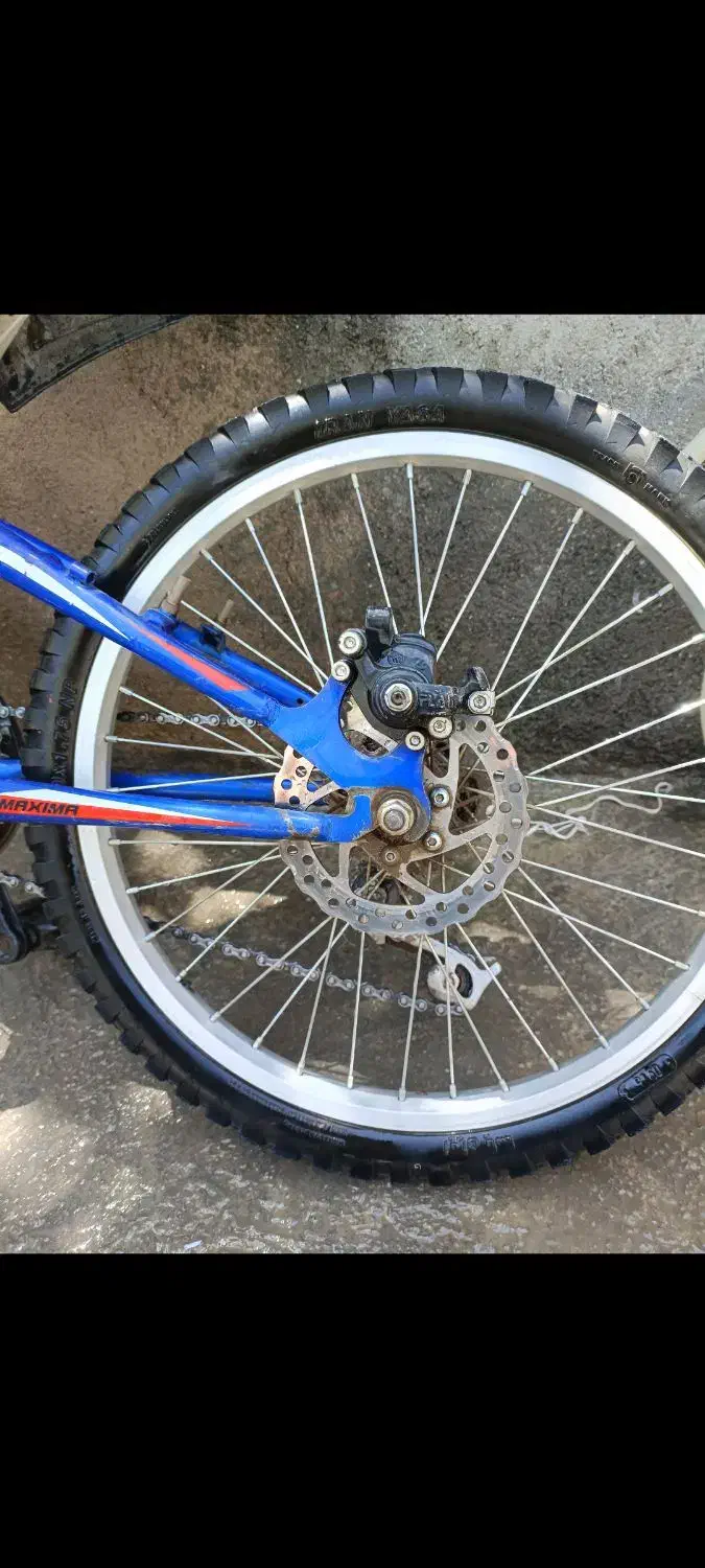 دوچرخه ماکسیما|دوچرخه، اسکیت، اسکوتر|موچش, |دیوار