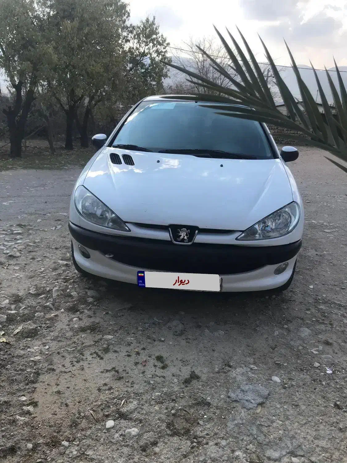 206 sd مدل 99|خودرو سواری و وانت|کرمانشاه, |دیوار