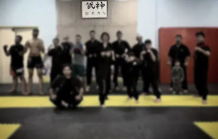 داوطلب نینجا و کونگفو|رویداد ورزشی|تهران, تهرانسر شمالی|دیوار