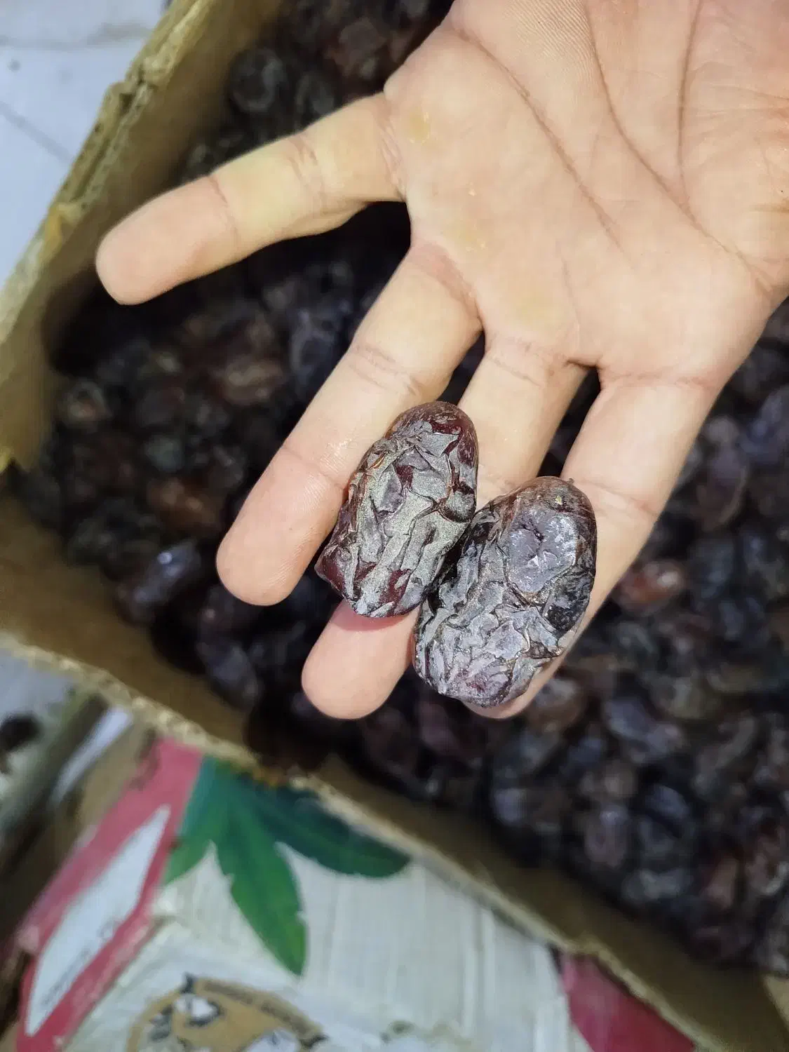 خرما|عمده‌فروشی|سعدآباد, |دیوار