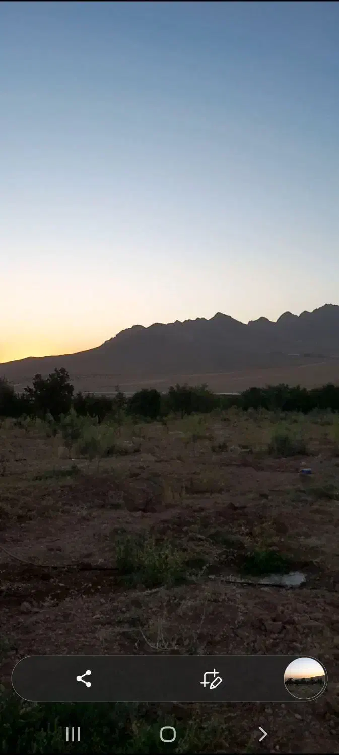 فروش طرح کشاورزی5500 مترطرح عمان سامان|اجارهٔ دفتر صنعتی، کشاورزی، تجاری|سامان, |دیوار