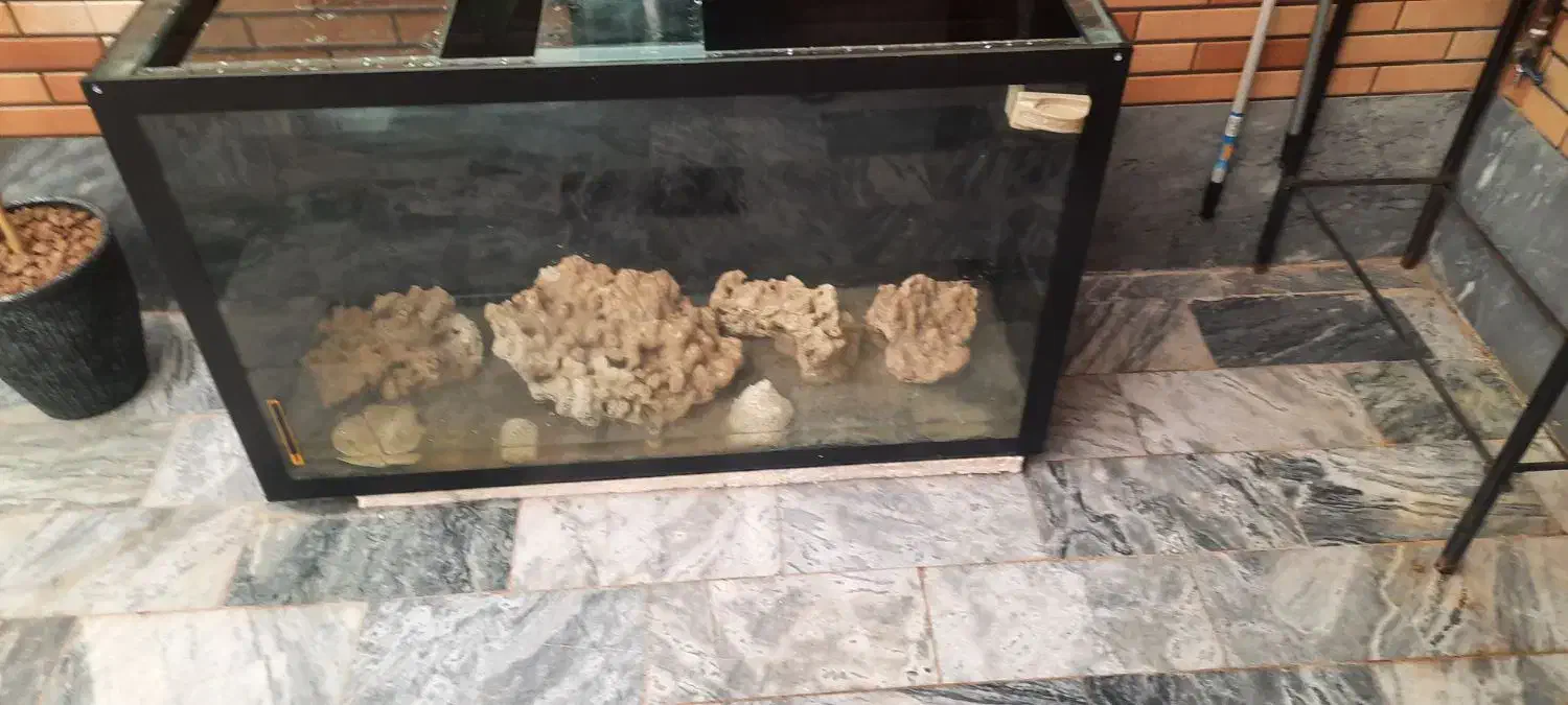 آکواریوم ۳۳۶لیتر|ماهی|پردیس, فاز ۸|دیوار