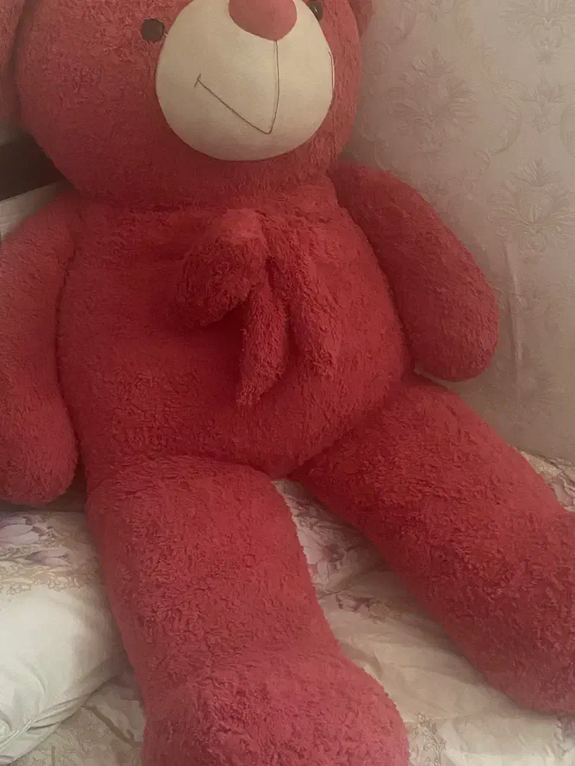 عروسک تدی بزرگ|اسباببازی|مشهد, تربیت (صدف)|دیوار