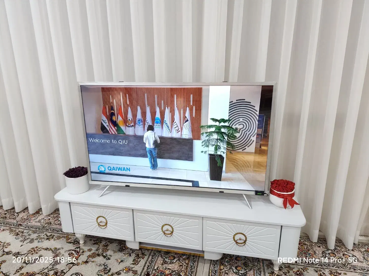 تلویزیونTCL|تلویزیون و پروژکتور|مریوان, |دیوار