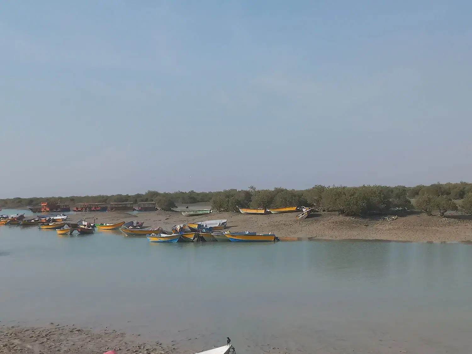 تور شاد شاد 6 روزه قشم|تور و چارتر|مشهد, هفده شهریور|دیوار