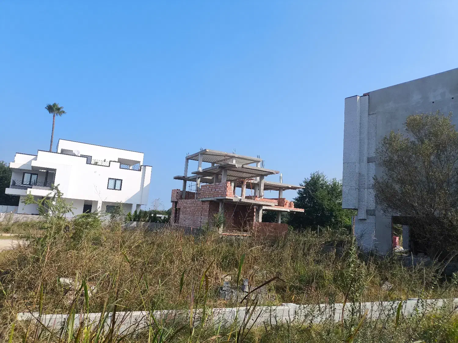 زمین با موقعیت عالی شهرکی نوده رویان|فروش زمین و ملک کلنگی|رویان, |دیوار