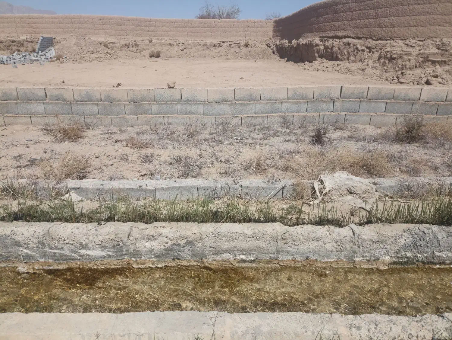 فروش زمین در یزد|خدمات باغبانی و درختکاری|مهریز, |دیوار