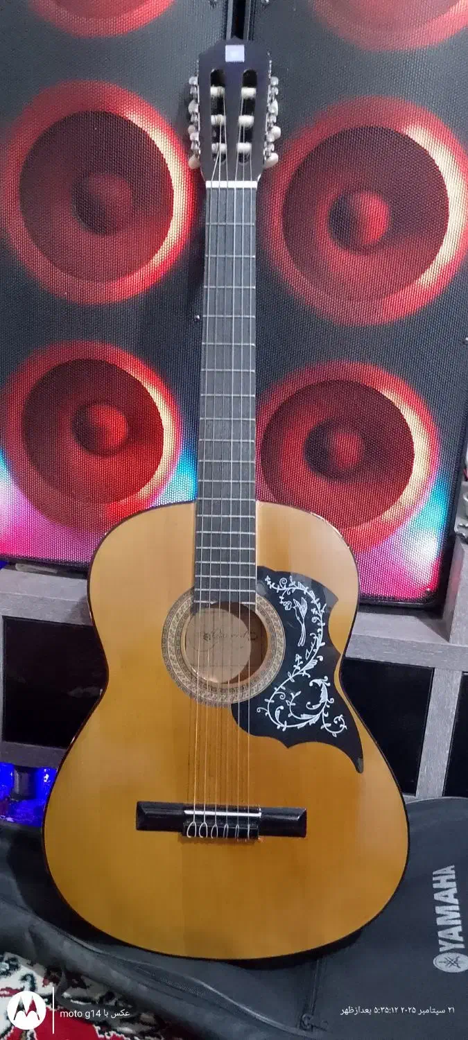 گیتار|گیتار، بیس، امپلیفایر|بهارستان, |دیوار